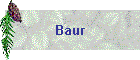 Baur